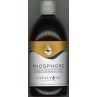 PHOSFHORE