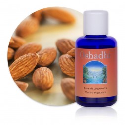 Amande douce extra - Prunus amygdalus Bio