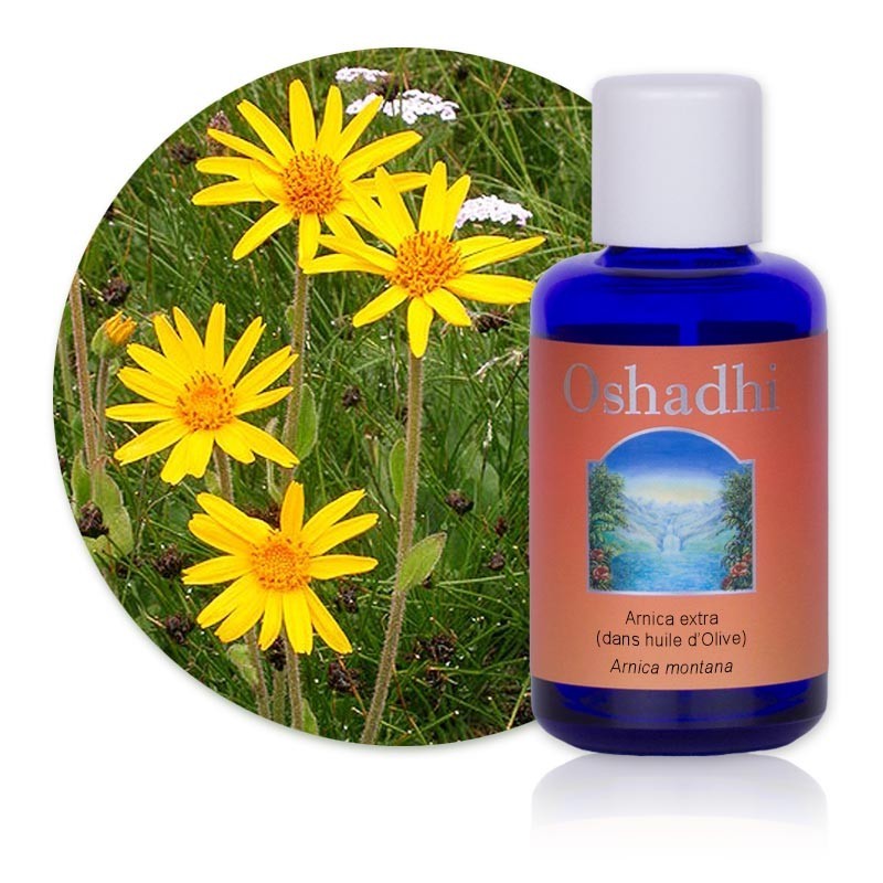 Huile Arnica extra - Arnica montana / Olea europea Bio