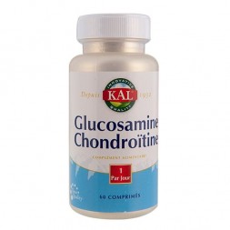 Glucosamine Chondroitine