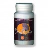 SHIITAKE Bio 60 gélules de 295 mg