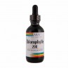 CHLOROPHYLLE LIQUIDE 20X 59 ml