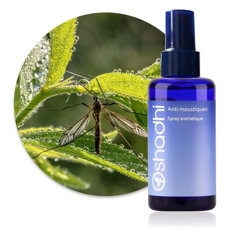 Spray aromatique, Anti-moustiques
