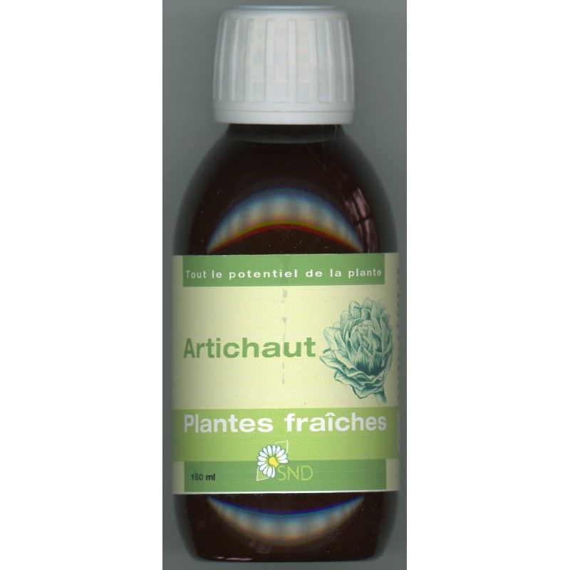 Artichaut plantes fraîches Bio