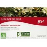 Gingko Biloba bio