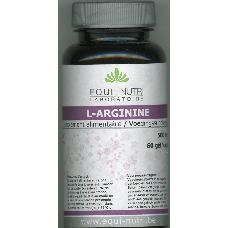 L-Arginite 500