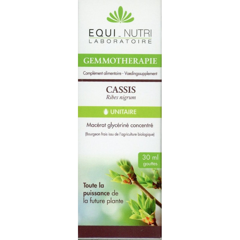 Cassis bourgeons Bio