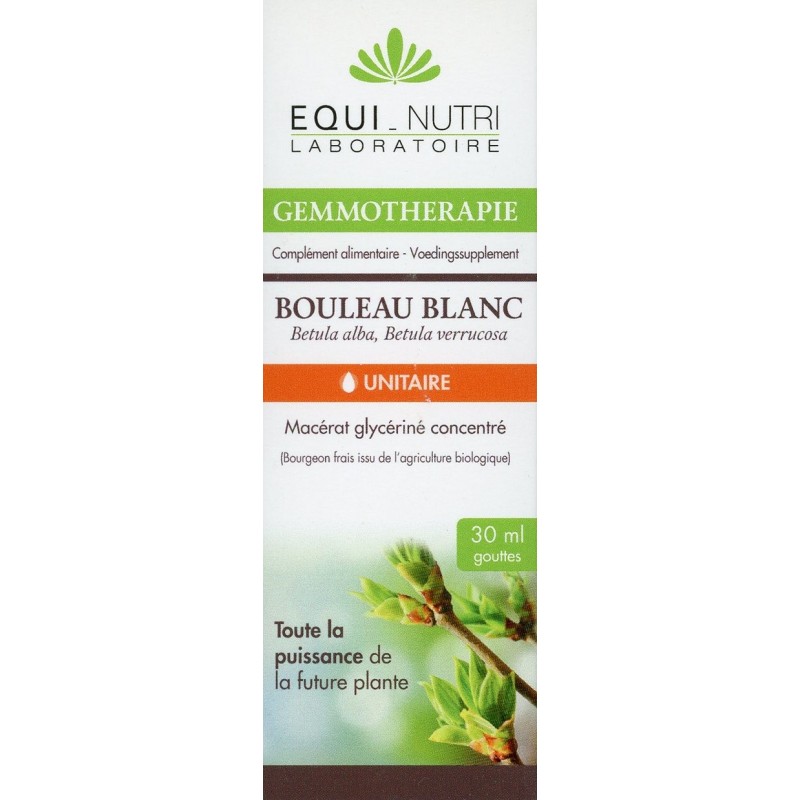 Bouleau bourgeons bio