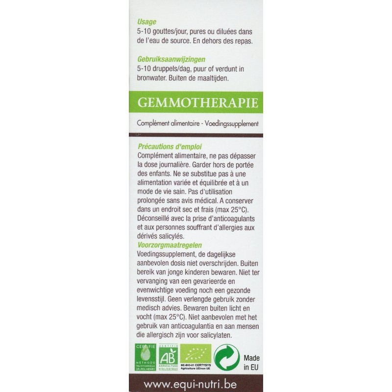 Bouleau bourgeons bio