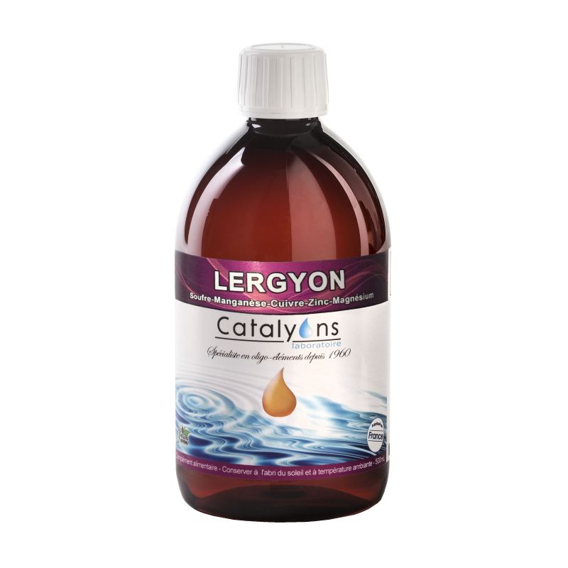 LERGYON