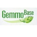 Gemmobase Herbalgem