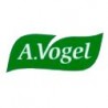 Vogel